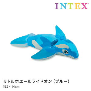 CJ  {[g gzG[ChI u[ 152×114cm v[ CebNX INTEX  l t[g ^   t[g{[g t[g}bg AEghA v[ C C