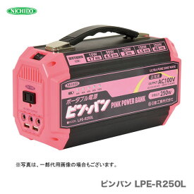 【新商品】【オススメ】日動工業（株） AC100V ポータブル電源ピンバン LPE-R250L （MAX250W）
