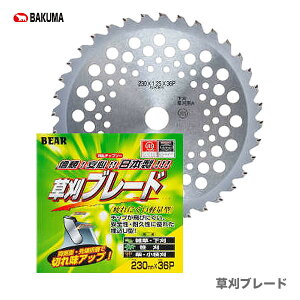 �ő�500�~�N�[�|�����q�o�N�}�r�@�����u���[�h�@255X36P