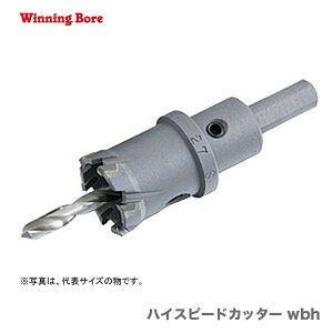 �ő�500�~�N�[�|�����q�E�B�j���O�{�A�r�@�n�C�X�s�[�h�J�b�^�[�@15�Ӂ@WBH-15