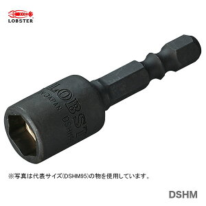�q���u�e�b�N�X�r�X�g���b�N�@�w�N�X�i�b�^�[�p�}�O�l�b�g�t�@DSHM12