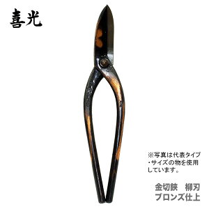 ő500~N[|y݌ɌIAEgbgiz qri쏊j n uYd 210mm