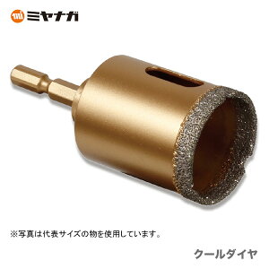 �ő�500�~�N�[�|�����q�~���i�K�r �N�[���_�C���@DG250 �y�I�X�X���z