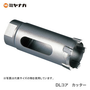 �ő�500�~�N�[�|�����q�~���i�K�r DL�R�A�@�J�b�^�[�@DLC48C �y�I�X�X���z