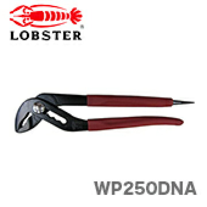 楽天市場 新品 数量限定 ロブテックス ネジアンギラス アンギラスタイプ Wp250dna プロ工具のjapan Tool 楽天市場店 楽天市場 新品 数量限定 ロブテックス ネジアンギラス アンギラスタイプ Wp250dna プロ工具のjapan Tool 楽天市場店