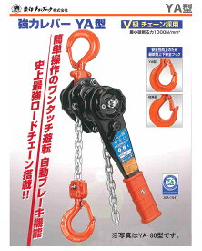 最大500円クーポン★〈象印チェンブロック〉レバ- YA-100