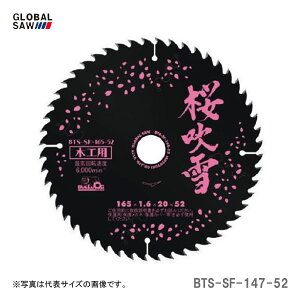�q���g���L�r�@�`�b�v�\�[�@�؍H�p�É��^�C�v�@BTS-SF-147-52