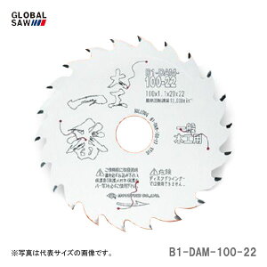 �q���g���L�r�@�`�b�v�\�[�@��H��ԁ@��ʖ؍H�p�@B1-DAM-100-22