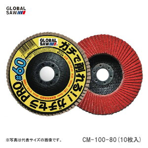 �q���g���L�r�@�t���b�v�f�B�X�N�@CM-100-80(10����)