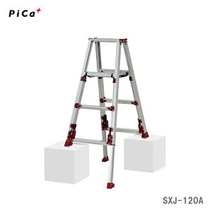 �ő�500�~�N�[�|�����y����s�z�q�s�J�r�l�r�A�W���X�g����p�r���@�X�^�b�s�[�@SXJ-120A�@��^�E�����z�s���O���₢���킹�i�t