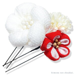   񂴂y܂ݍ׍H ~ Us 2Zbg 15814zk ߂ a  U  wAANZT[ l Ǝ  yzsz