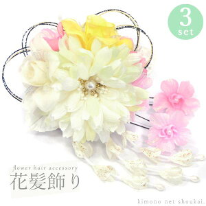 yzy3_Zbg Jf[Y() zCg 14835zl  Ǝ ܎O hX  a_ wAANZT[yzsz