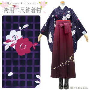 ڑ  Pii× iqɃ_[Y 15581j􂦂钅 dďオ 2ڑ Ǝ Ӊ ͂ U g_ сyzsz