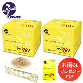 お得な2箱セット お試しサイズプレゼント　Kawai カワイ80 乳酸球菌カワイ株（80mg含有/包） 河合乳酸球菌 Kawai80 送料無料 正規代理店