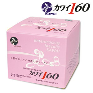 Kawai JC160 _ۃJC 160mgܗL/ 100 _ ͍NY ͍_ی Kawai160@JC@_  K㗝X