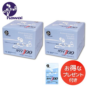 ������2���Z�b�g �������T�C�Y�v���[���g�@Kawai �J���C300 ���_���ۃJ���C���i300mg�ܗL/��j �͍����_���ی����� Kawai300�y�������� ���K�㗝�X�z