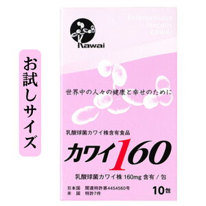 �y���K�㗝�X�z�J���C160 �������T�C�Y ���_���� �J���C�� 160mg�ܗL/�� 10����� ���_�� �͍��N�Y �͍����_���ی����� Kawai160 Kawai �J���C