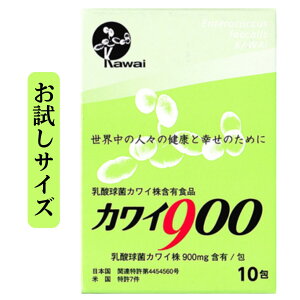JC900 TCY _ JC 900mgܗL/ 10 _ ͍NY ͍_ی Kawai900 JCy K㗝Xz