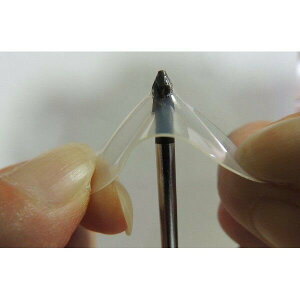 apt' [hoCN ] یV[ 12s[XZbg X|[cEAEghA ANZT[EObY ̑ TCNO@veNVV[ veNgV[ h~@t[ی@