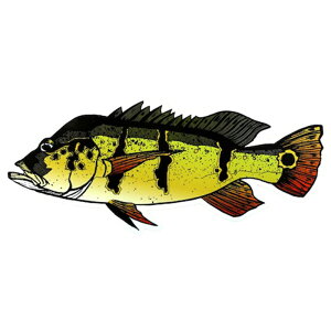 tGR AX[s[RbNXebJ[ 80x185mm