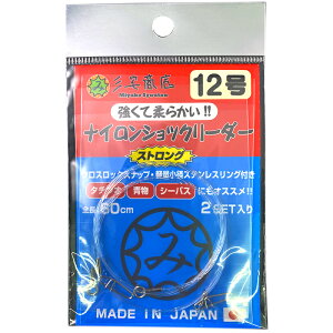 OX ď_炩 iCVbN[_[ XgO 12