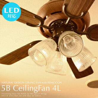 Japanbridge Compatible Remote W Ceiling Fans Light Lighting Led