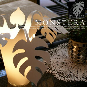 yMONSTERA LIGHT PLANTSFXeCgvczyflamesFtCXzbDS-043bX^hCgbyCeAƖzyԐڏƖz (CP4(PX10