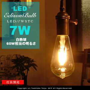 LEDd E26/7W/60W NAKXytBgLEDGW\FLED EDISON BULBzsignature g AeB[N NA tBg  Ɩ   Ki L gC X܃fUC GW