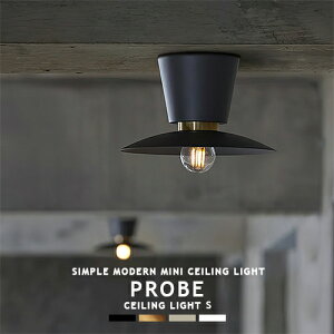 PROBE-CEILING LIGHT S v[uV[OCg S AW-0656 ARTWORKSTUDIO A[g[NX^WI k 1 ^V[OCg V[Ov X`[ ^J  _ Vv ~j} C