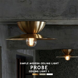 PROBE-CEILING LIGHT L プルーブシーリングライト L AW-0657 ARTWORKSTUDIO アートワークスタジオ 北欧 1灯 小型シーリングライト シーリングランプ スチール 真鍮 おしゃれ モダン シンプル ミニマル イ