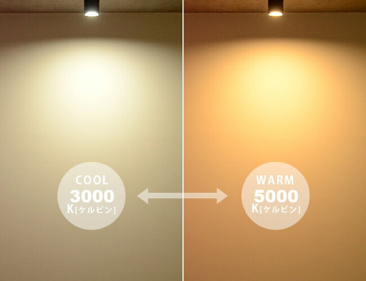 楽天市場 Grid Ceiling Down Light グリッドシーリングダウンライト Artworkstudio Aw 0552 Led内蔵 ダウンライト 100w相当 色調２段階切替 電球色 昼白色 引掛シーリング 簡単取付 内玄関 廊下 洗面 トイレ リビング おしゃれ 照明 ミニマル ホワイト ブラック シルバー