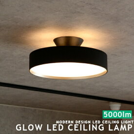 [Glow 5000 LED-ceiling lamp グロー5000LEDシーリングランプ][ARTWORKSTUDIO：アートワークスタジオ] LEDシーリングランプ シーリングライト LED搭載 6畳用 8畳用 リモコン 照明 リビング用 居間用 ダイニング用 食卓用 10畳用 12畳用 調光 調色 おしゃれ ライト(CP4(PX10