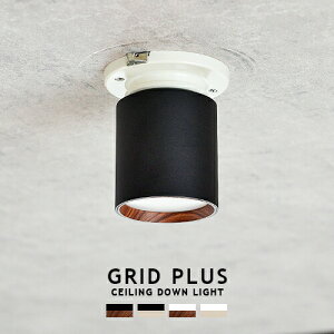 GRID PLUS CEILING DOWN LIGHT ObhvXV[O_ECg ARTWORKSTUDIO AW-0612 LED _ECg 100W F2iKؑ dF F |V[O ȒPt  L  gC 