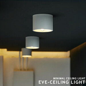 Eve ceiling light CuV[OCg _ECg ARTWORKSTUDIO AW-0635 1 LEDΉ  Ɩ _Ev X|bgCg X`[ ^J |V[O ȒPt L   ubN 