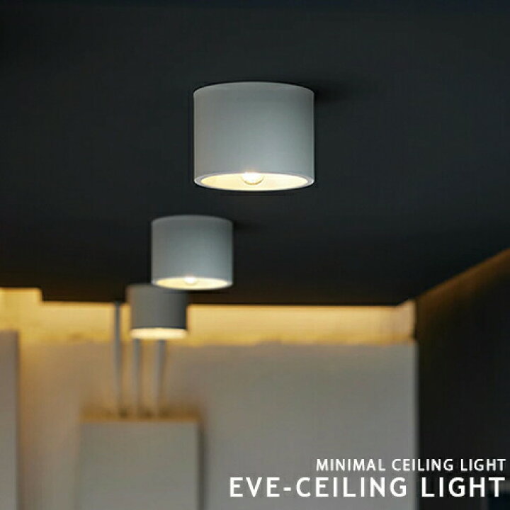 楽天市場】Eve ceiling light イブシーリングライト ダウンライト 