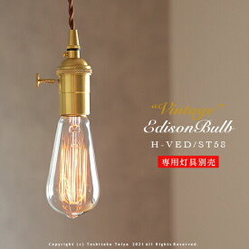 ビンテージエジソン球 VINTAGE EDISON BULB [Signature ST58] E26/60W カーボン電球 レトロ アンティーク フィラメント 電球 お洒落 照明 (s) 可愛い 玄関 階段 廊下 トイレ 店舗デザイン エジソンバルブ シグネチャー カーボン 口金 ツイストブラウンコード別売(2-2