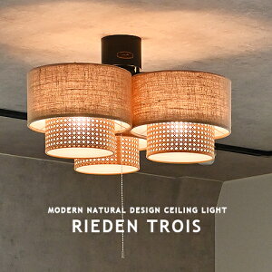 RIEDEN TROIS CEILING LAMP [fg V[Ov V[OCg 3 LEDΉ rO _CjO Q a q GRf _ k a_ WpfB vXCb` _