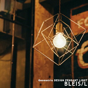 Bleis[L] uCX L y_gCg 1 LEDΉ _CjO H  Ki L rO AeB[N S[h C_XgA 킢 Ɩ  Cgʑ C [(vv