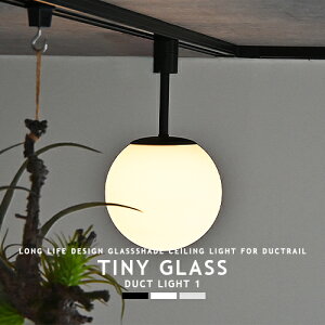 �_�N�g���[����p 1�� �V�[�����O���C�g TINY GLASS DUCT LIGHT 1 �^�C�j�[�K���X �_�N�g���C�g1 ���C�e�B���O���[���p �z���_�N�g�p ���r���O �_�C�j���O �L�b�`�� ���� �L�� �I�t�B�X ���� �X�� 