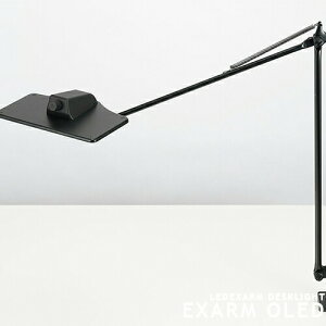 EXARM OLED GOU[ fXNCg e[uCg LEX-3100 LEX-3102  iK ƃCg  Ɩ Cg e[N ݑΖ zCg ubN fXNƖ _ k ~j} 