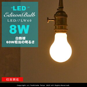 LEDd E26/8W/60W dF zCgKXytBgLEDGW\FLED EDISON BULBzA-shape g AeB[N zCg tBg  Ɩ   Ki L gC X܃f