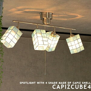 V[OCg  LEDΉ 6 8 4 X|bgCg [CAPIZ CUBE 4FJsXL[u4] rOp ԗp _CjOp Hp VFv Lk nhCh AWA ][g 