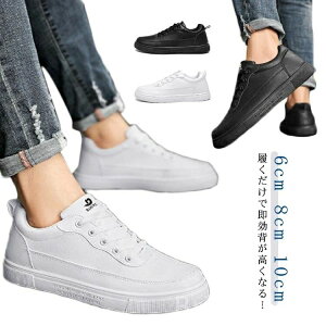 Cq[V[Y fB[X 10cm 8cm Y JWAV[Y K C Xj[J[ V[NbgV[Y Y yzbv10cm