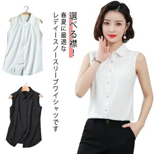 y2_Zbgz^Ngbv Vc m[X[u ݕt uEX 傫TCY fB[X uEX ݕt Iׂ VcuEX YVc Ci[ X[c t  OL ʋ C[h 