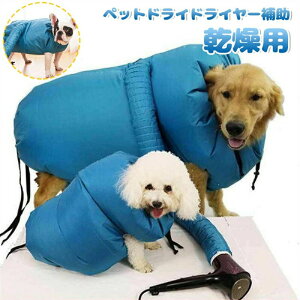 ňl^Lybg ybgp  EGA p obO oX[u Vv[ f ybghChC[⏕ oXObY C  ʋC y L  p 