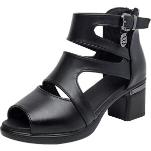 `L[q[T_ fB[X nCq[T_ T}[ tBbV}EXT_ I[vgD`L[q[pvX 5cm ₷ r  I[vgD 芴 