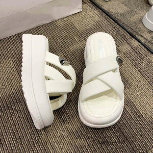 T_ T_ Xbp q[T_ tbg Xbp  T{T_ ~ vbgtH[ NXfUC 6cm y ₷ ؍ r Y fB[X 