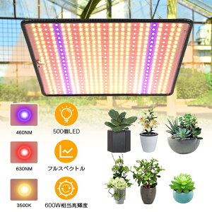 yP11{yV2ʁzA琬Cg LED pl 500LED  Op 2025ŐV tXyNg ϗtA A A琬Cg LED 琬Cg ACg 600W \[[ led A琬Cg 