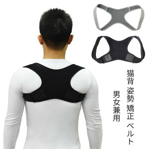 xg Lw p  ʋC p pT|[^[ pxg Lwxg p␳ p jp Y fB[X JWA