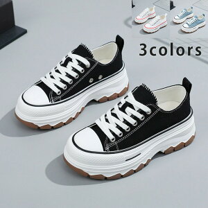 Xj[J[ fB[X V[Y EH[LOV[Y V[YLoX lC C  Xj[J[ nCq[ EFbW\[ JWAV[Y LoXfށ@Cq[  